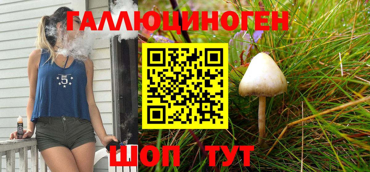Псилоцибиновые грибы Cubensis Конаково